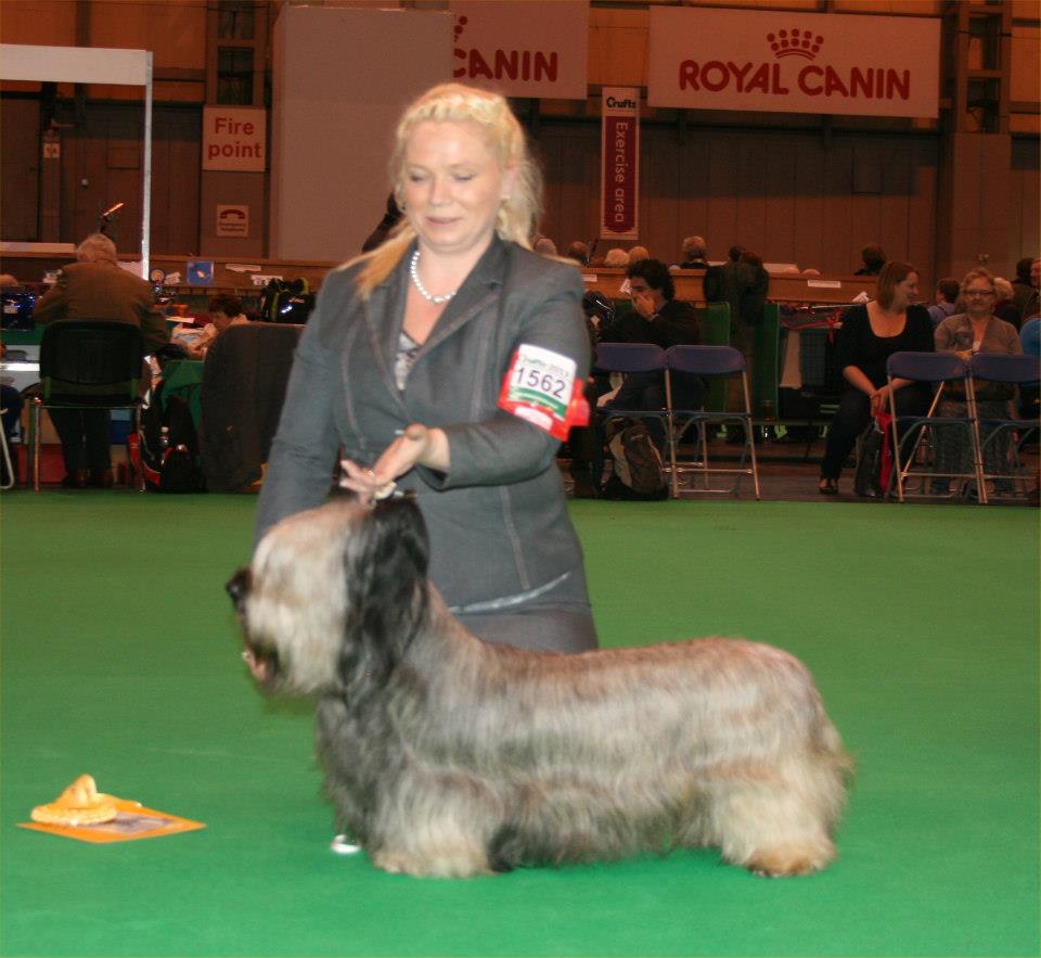 Open dog 3rd Blond Dream dellAntica Caledonia