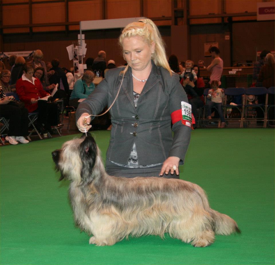 Special junior dog 1st Latroonis Claudius