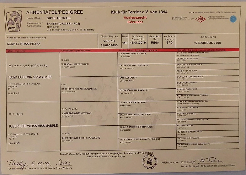 Ahnentafel1