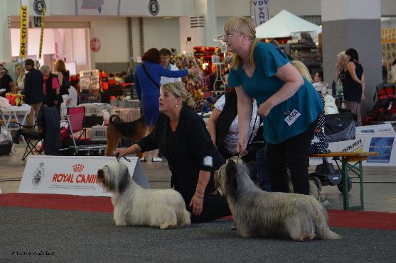 DSC_6679 (2)