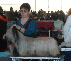 2011 002 2011 002