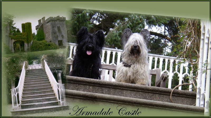 Armadale Castle11