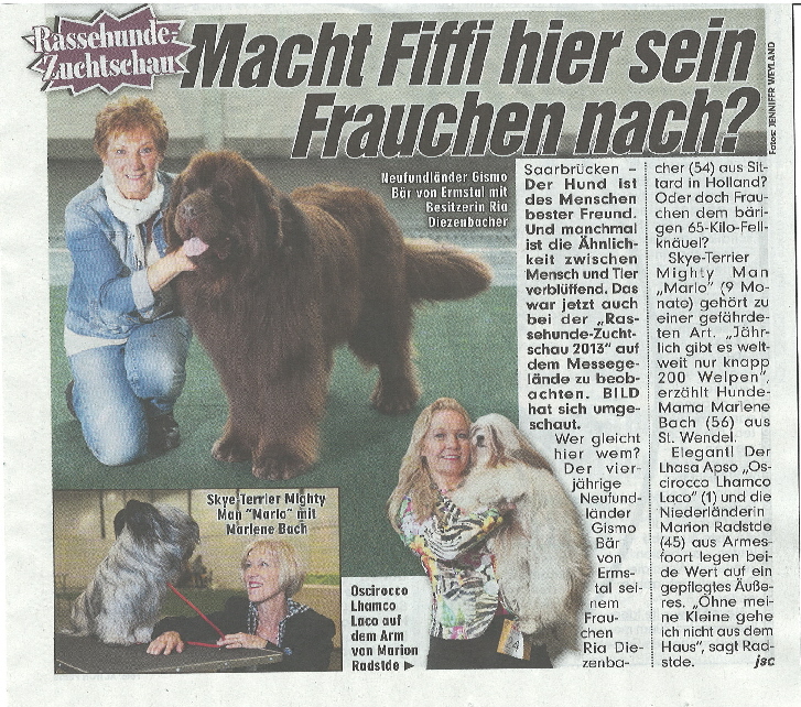 BILD-Saarbr