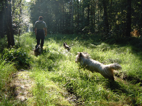 Waldspaziergang01