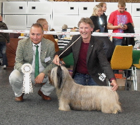 Welpen 234 Welpen 234