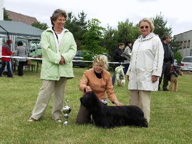 andaraausstellung1