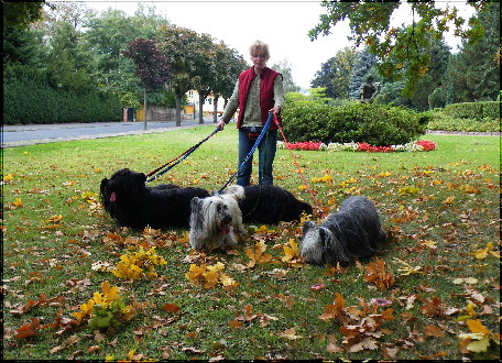 herbstspaziergang1