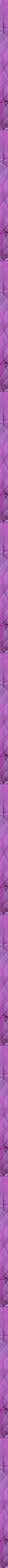 mb_stripe5812