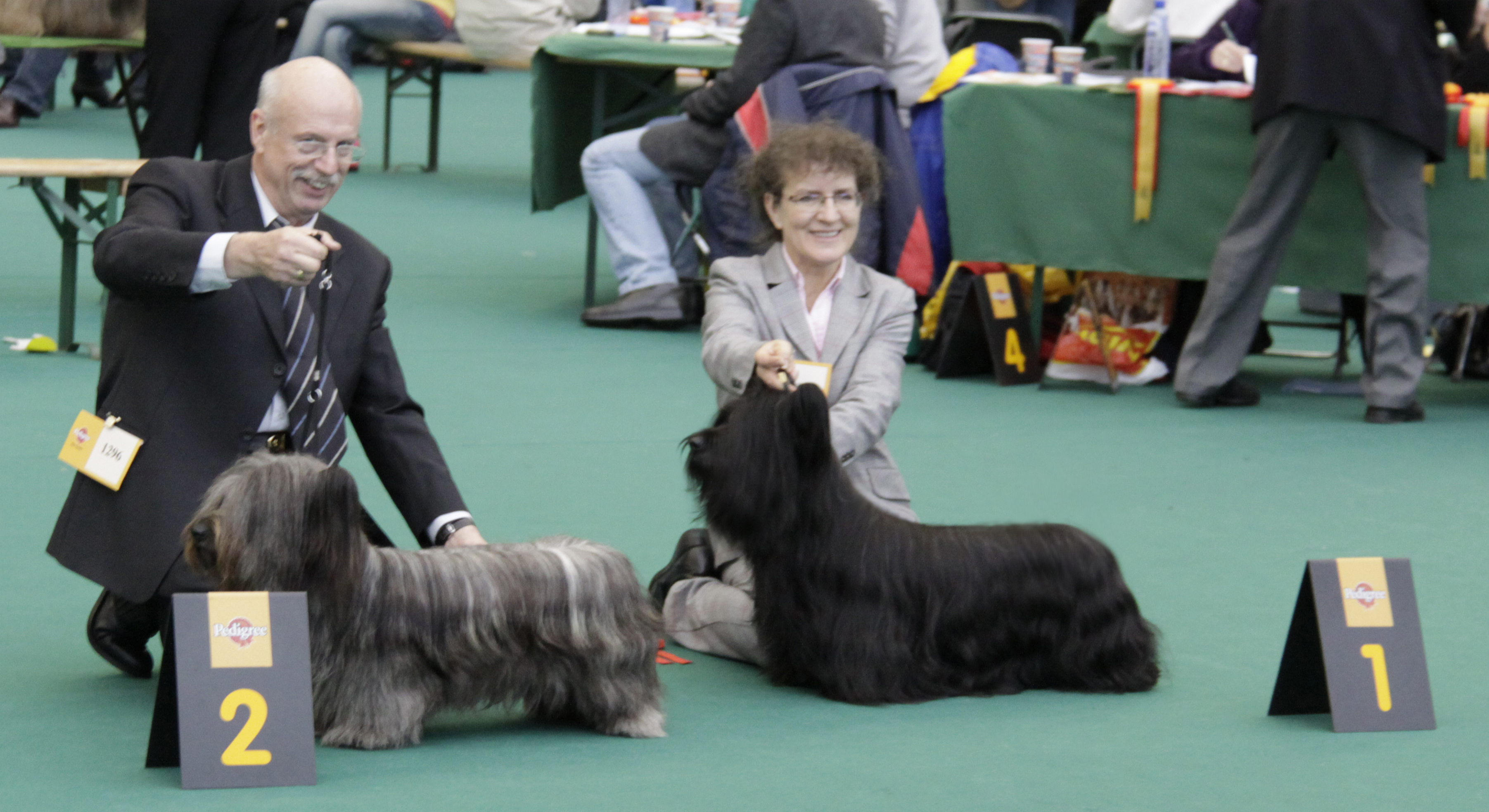 v.l. JugendwinnerAmsterdam Skyeomania's Islay; Winner Amsterdam Showstopper of Morningsky